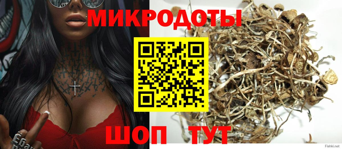 цены   Галлюциногенные грибы MAGIC MUSHROOMS  Вход с VPN  Керчь 